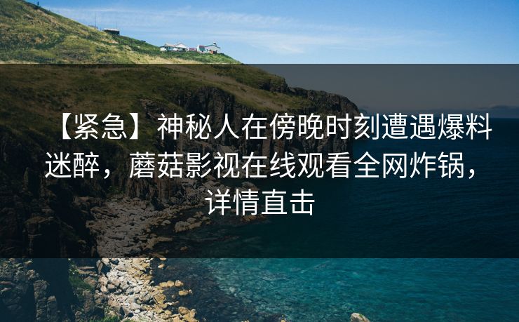【紧急】神秘人在傍晚时刻遭遇爆料迷醉，蘑菇影视在线观看全网炸锅，详情直击