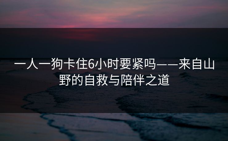 一人一狗卡住6小时要紧吗——来自山野的自救与陪伴之道