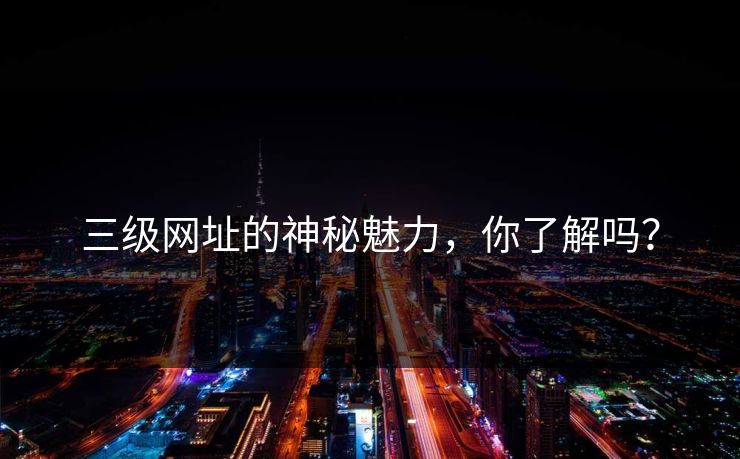 三级网址的神秘魅力，你了解吗？