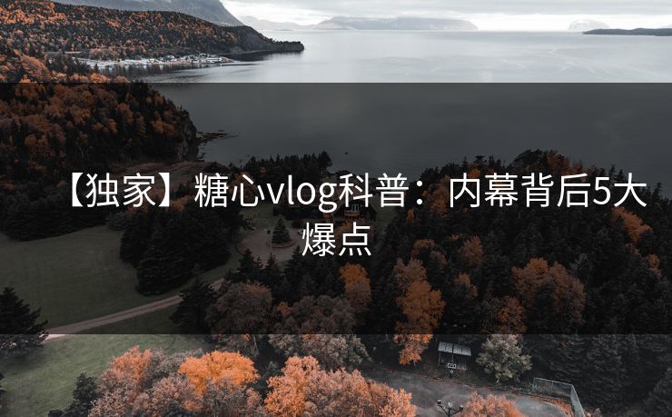 【独家】糖心vlog科普：内幕背后5大爆点