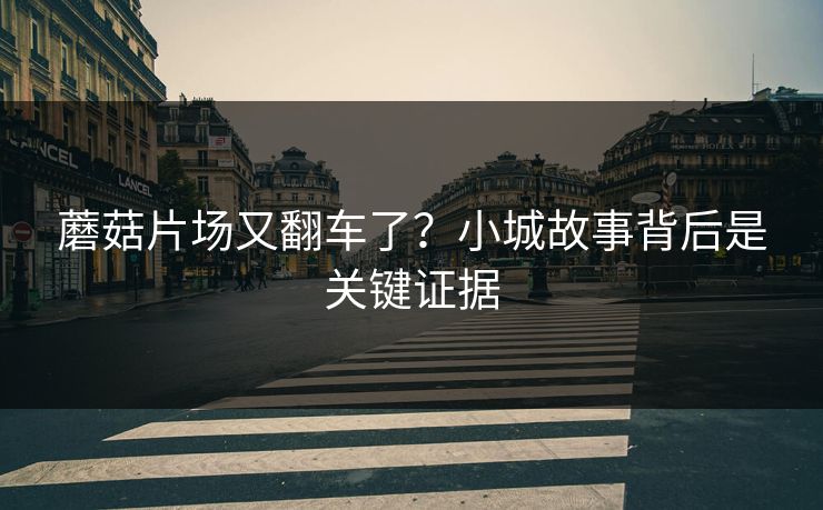蘑菇片场又翻车了?小城故事背后是关键证据 蘑菇片场又翻车了?小城故事背后是关键证据